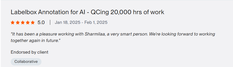 Upwork testimonial 7